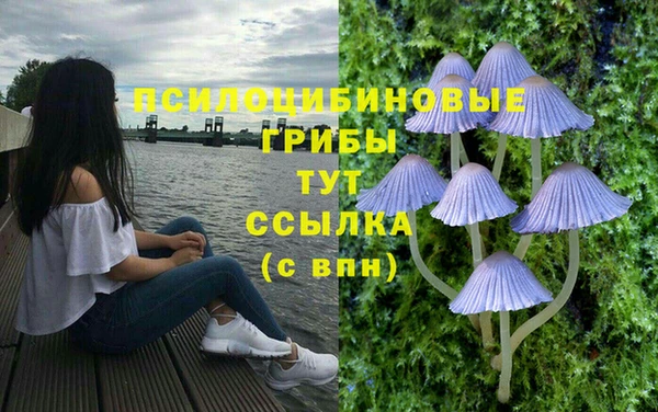 прущая мука Михайловск