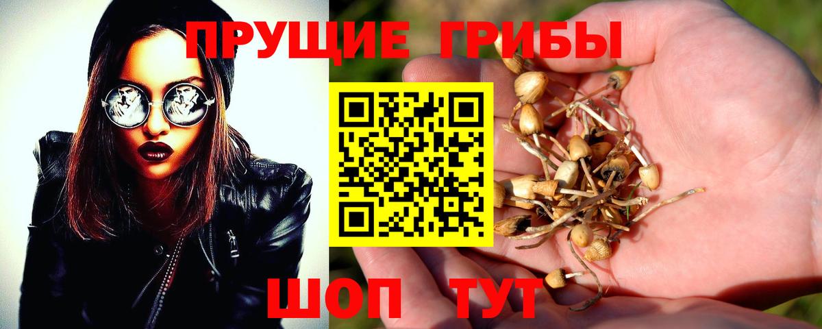 Галлюциногенные грибы мицелий Шатура