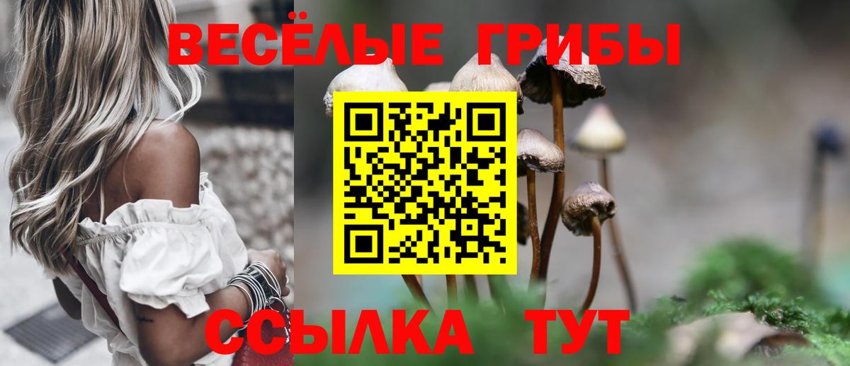Псилоцибиновые грибы ЛСД  Вход с VPN  где купить наркоту  Шатура  Галлюциногенные грибы Cubensis 